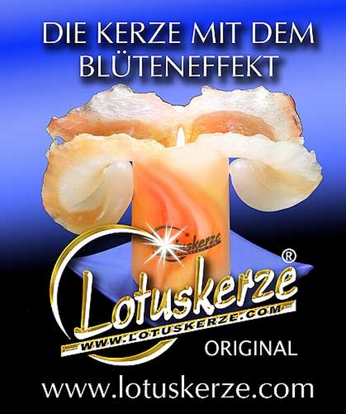 Original Lotuskerzen